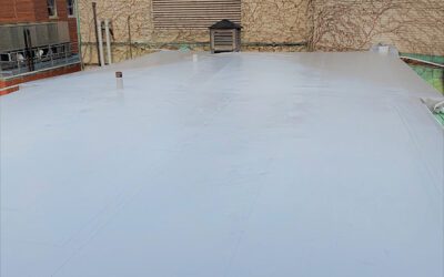 Steps to Take to Properly Inspect Your Duro-Last Commercial Roof