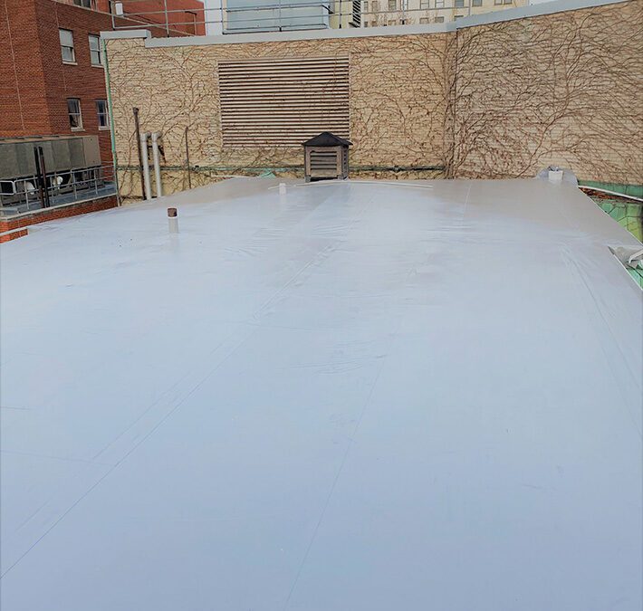 Detroit-Historical-Museum-Carriage-House-Duro-Last-Recover-over-BUR-Detroit-Michigan