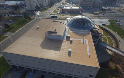 Ways to Protect Your Duro-Last Commercial Roof