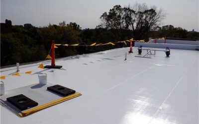How Do I Know Which Commercial Roof Is Right for My Building?
