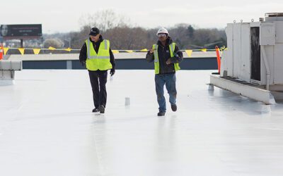 Signs and Causes of Mold and Algae on Commercial Roofs