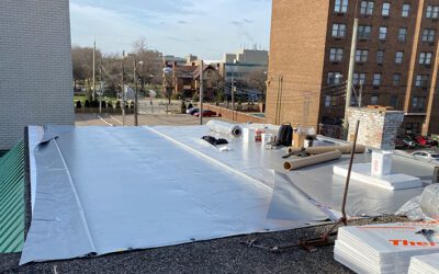 Benefits of Duro-Last vs. TPO Roofing Systems