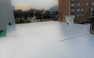 Why Choose a Duro-Last Roof  for Your Building