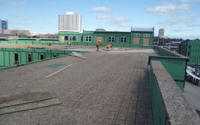 The Case for Energy-Efficient Roofing in Commercial Buildings