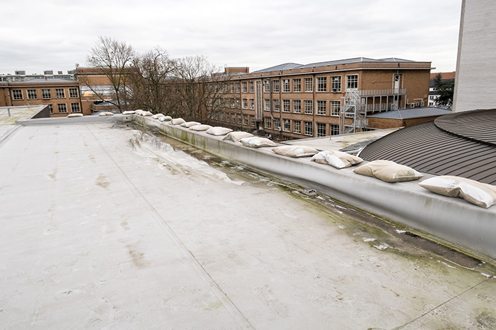 What Causes Mold Growth on Commercial Roofs?